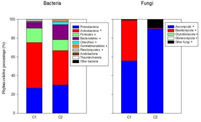 Impact of Olive Saplings and Organic Amendments on Soil Microbial Communities and Effects of Mineral Fertilization